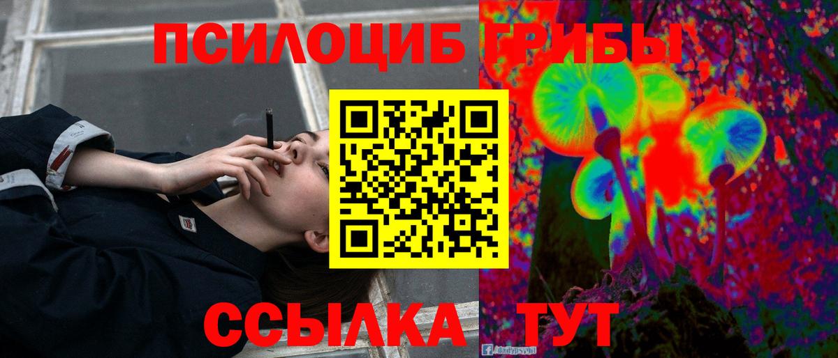 Якутск  Псилоцибиновые грибы Cubensis  Вход с VPN  Галлюциногенные грибы Psilocybine cubensis 