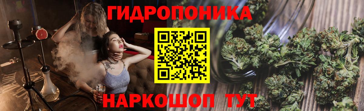 Конопля планчик  Канабис SATIVA & INDICA  Вход с VPN  Якутск 